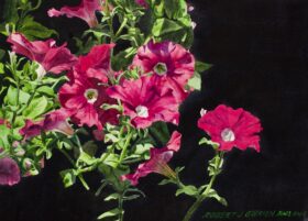 Petunias - 9 x 12in image size