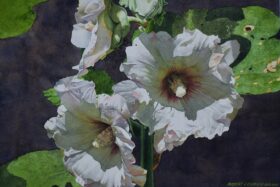 Hollyhock Shadows ~ size 15 x 22in. image