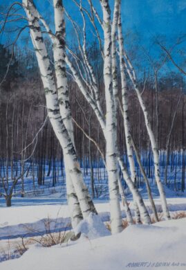 Gravelin Rd. Birches - 16 x 12in image size