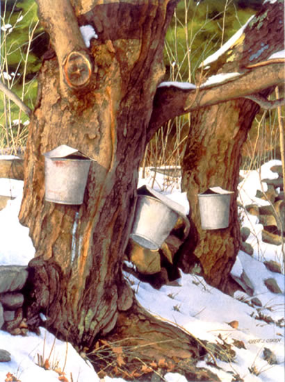 Harlows Buckets